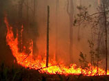 Пожары в Нижегородской области
