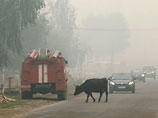 Число жертв лесных пожаров увеличилось до тридцати