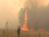 МЧС: общая площадь лесных пожаров в России уменьшилась 