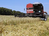 Россия спровоцировала рост цен на зерно в Европе 