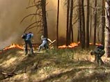 В России начались поджоги ради новых домов: во Владимирской области спалили целую деревню
