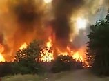 Россия который день охвачена пожарами, в которых горят леса и целые населенные пункты
