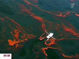 Власти США рассказали об истинных масштабах утечки нефти в Мексиканском заливе: это крупнейшая авария в истории