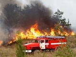 В России в результате распространения лесных пожаров на населенные пункты погибли уже 48 человек