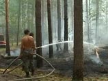 Число жертв природных пожаров в РФ выросло до 48. Заведены уголовные дела на чиновников 