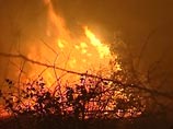 Пожары должны помочь верующим вырасти духовно и стать лучше, считают в РПЦ Пожары должны помочь верующим вырасти духовно и стать лучше, считают в РПЦ