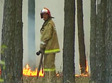 Лесные пожары вновь разгораются. Число погибших достигло 50