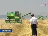Мировые цены на пшеницу взлетели до максимума за последние 23 месяца из-за сильнейшей засухи в России