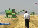 На рынке зерна началась "легкая паника" На рынке зерна началась "легкая паника"