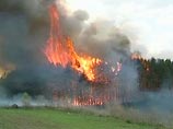 В России продолжают бушевать 80 крупных лесных пожаров