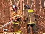 На территории России, по данным на утро пятницы, зарегистрирован 831 очаг природных пожаров, из них 42 торфяных