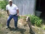 Украинские крестьяне из Черниговской утверждают, что убили загадочную чупакабру - убийцу кроликов