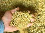 Иностранные СМИ: от российского запрета на экспорт зерна пострадают бедные страны и "российские бабушки"