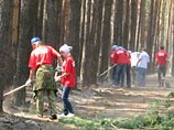 Единороссов уличили  в подделке фотографии, на которой они якобы тушат воронежские пожары
