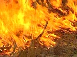 Дым от пожаров в российских регионах поднялся до стратосферы Дым от пожаров в российских регионах поднялся до стратосферы