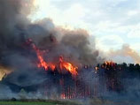 На территории России, по данным на утро пятницы, зарегистрирован 831 очаг природных пожаров, из них 42 торфяных