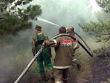 Число жертв лесных пожаров в России выросло до 52 человек