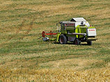 ФАО: мировых запасов пшеницы хватит, несмотря на неурожай в России