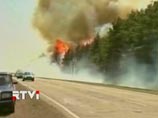 Они призывают российские власти уделить большее внимание пожарной безопасности брянских лесов, а также лесных массивов на территории Липецкой, Калужской и Тульской областей РФ