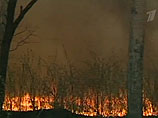 Пожар в Семеновском районе носит преимущественно низовой характер
