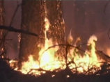 На Дальнем Востоке осталось потушить только один лесной пожар