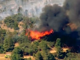 К северу от Лос-Анджелеса возник сильный лесной пожар