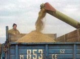 По оценкам Российского зернового союза, урожай зерна может снизиться на 20-26% и стать равным текущему уровню потребления