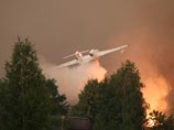 На территории России продолжают гореть 557 очагов лесных и торфяных пожаров на общей площади 174 тыс. га
