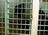 В Иваново осужден экс-начальник СИЗО, отправлявший преступников в санаторий