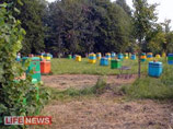 Life News отправил в эвакуацию пчел Лужкова, из Калужской области в более благоприятные условия