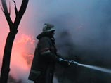 Лесные пожары в Брянской области