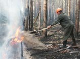 Пожары в "чернобыльских лесах" вызвали споры экспертов - радиация может добраться даже до Москвы