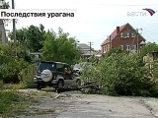 В Краснодарском крае ураганный ветер повалил 50 деревьев