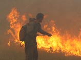 МЧС: площадь пожаров за сутки сократилась на 8 тысяч гектаров