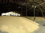 Россия прекратила экспортировать зерно