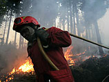 Пожары в другом национальном парке Пенеда-Жереш на севере страны пока не удалось потушить