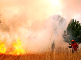 В Португалии пожарным не удается справиться с огнем на севере страны