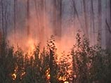 МЧС рапортует о новых победах в тушении природных пожаров: за минувшие сутки площадь природных пожаров в стране сократилась более чем на семь тысяч гектаров