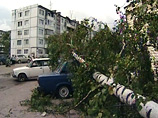По северо-западной части России в минувшие сутки пронеслись ураганы