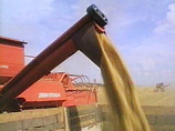 Запрет на экспорт зерна омрачил перспективы развития многочисленных новых зерновых терминалов в стране и заставил усомниться в надежности России как мировой зерновой державы