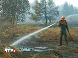 Премьер также поручил министру природных ресурсов Юрию Трутневу держать под контролем ситуацию с пожарами и своевременно и в полном объеме информировать общественность на эту тему
