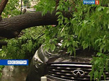 В минувшие выходные по северо-западной части России уже пронеслись первые ураганы