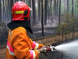В России площадь лесных пожаров за сутки сократилась вдвое  - до 22 тыс. гектаров