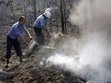 Пока пожарные машины МЧС тушили дачные дома, милиционеры с помощью лопат и ведер с водой ликвидировали мелкие очаги возгорания, не допуская распространения огня на лесной массив. В тушении огня приняли участие 37 милиционеров