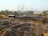 Женщина, сжигая ботву в дачном "Поле чудес", спалила полсотни домиков