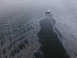 В водах Мексиканского залива собрано около 80% "аварийной" нефти