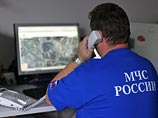 Представители экологических организаций побывали в Брянской области и убедились, что радиационный фон в норме, сообщили в МЧС России