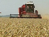 Россия может вернуться к советской практике масштабного импорта зерна 