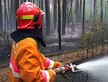Для тушения пожаров было задействовано 166 тыс. человек, 26 тыс. единиц техники