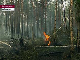 Шойгу озвучил, сколько миллиардов "сгорело" в российских пожарах, и по чьей вине